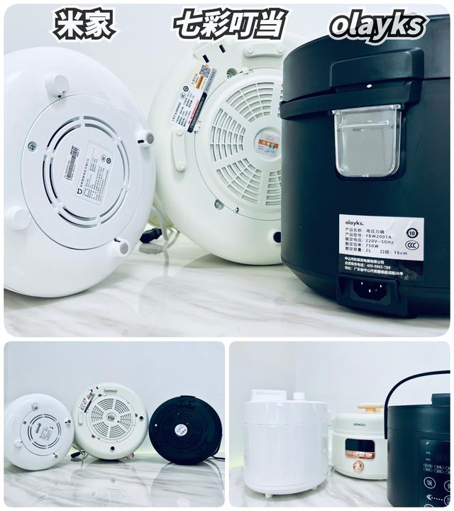 电压力锅炖排骨，电压力锅炖排骨做法（攻略+横评+实测）