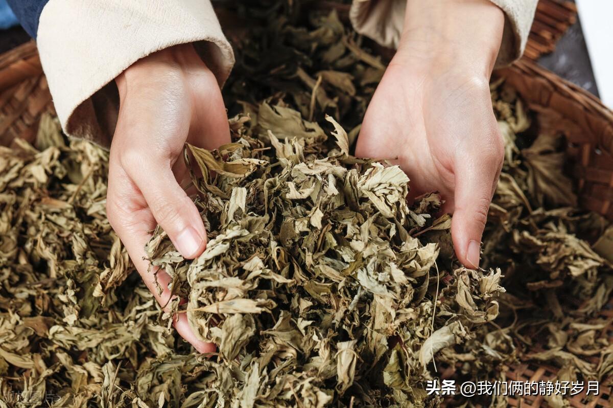 含皂角的洗发水，含皂角的洗发水好吗（<二>皂角、无患子等天然植物）