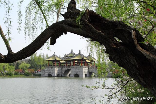 霜叶红于二月花的霜叶是什么意思，霜叶红于二月花的霜叶是什么意思啊（停车坐爱枫林晚）