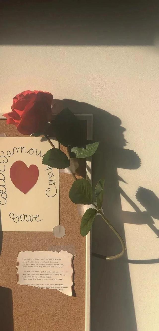 清新唯美的壁纸，小清新唯美手机壁纸