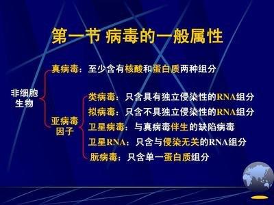 僵尸鹿是真的吗，僵尸鹿是不是真的（扩散非常迅速，会影响人类吗）