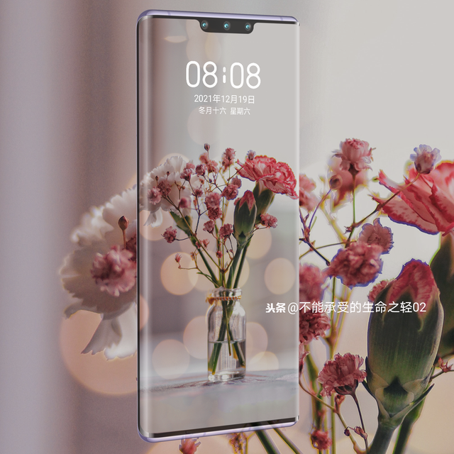 风景静物背景图|谢谢光临.，静物背景图片（花卉摄影壁纸图文解说）