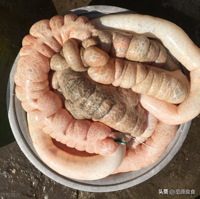猪大肠怎么洗干净，肥肠怎样洗才干净（一个矿泉水瓶就能洗干净）