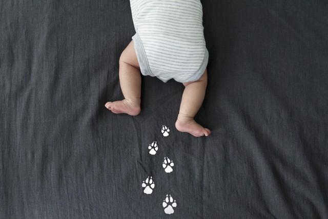 成长路上的阳光作文600字，成长路上的阳光作文600字六年级（中考满分作文欣赏《成长的脚印》）