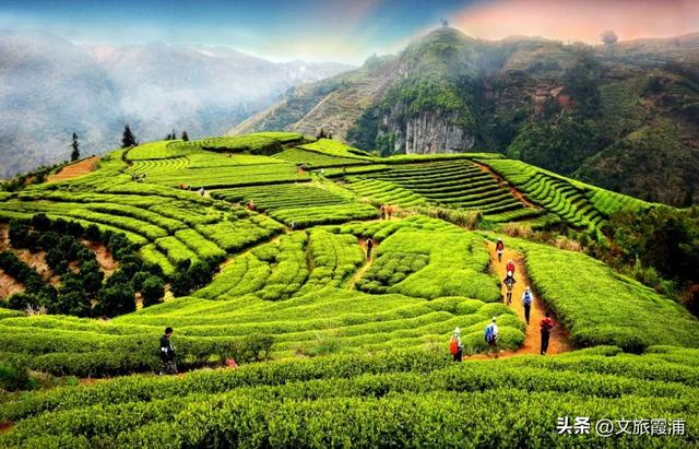 霞浦建善寺简介，2023年霞浦旅游月历新鲜出炉~快收藏→