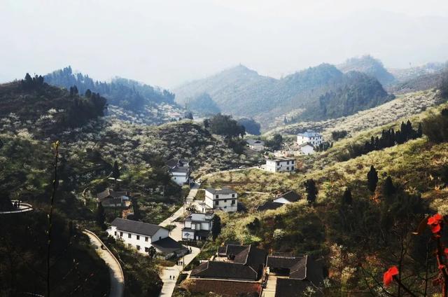 四川宜宾县横江古镇，3月20日-26日宜宾市乡村旅游点综合人气指数排行