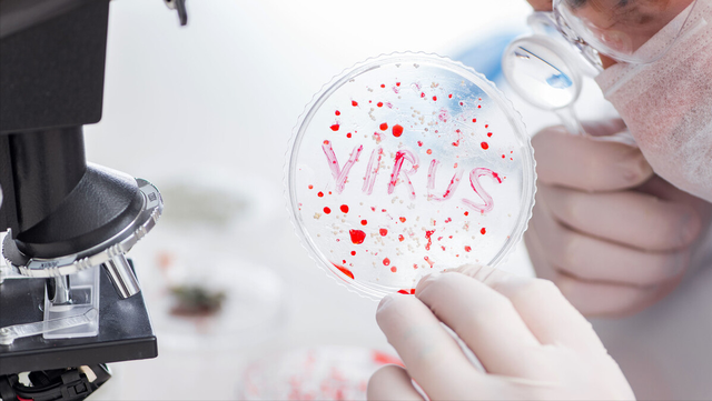 脚趾缝溃烂怎么办，脚趾缝痒溃烂是什么原因（脚趾间发白、溃烂、露出红肉）