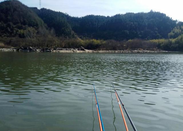 钓鲤鱼必看水色口诀：清水浑水各不同，选对水域才能连竿上鱼不空手