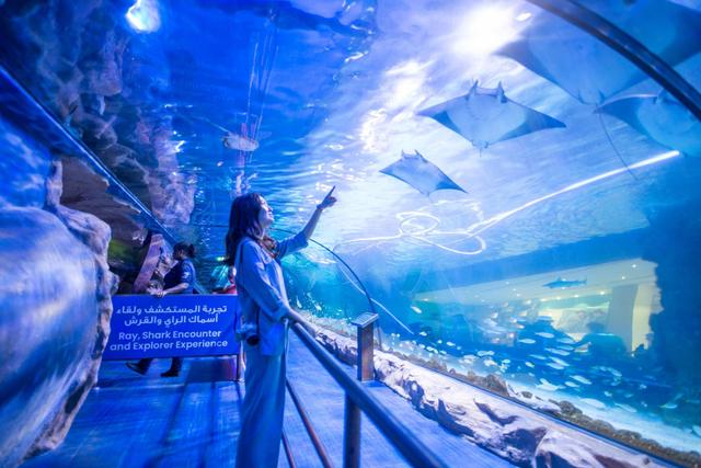 迪拜为什么那么有钱，为什么能从一片荒漠到世界最豪城市