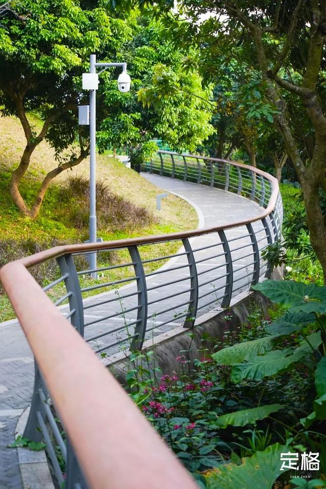深圳徒步路线推荐，深圳海滨栈道徒步最佳路线（深圳10条徒步路线）