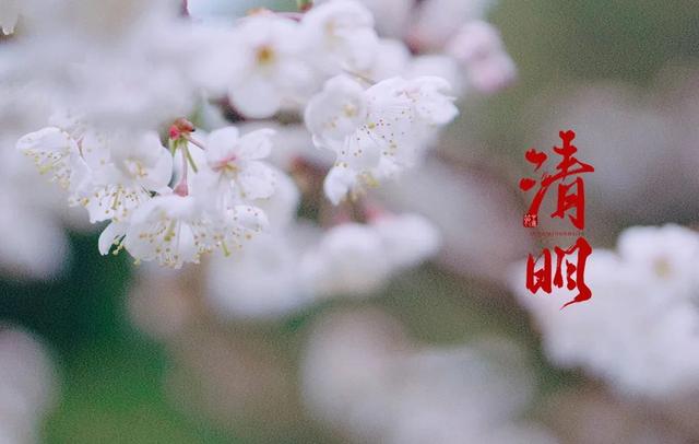 清明诗句大全，《清明》的诗句（十二首清明的诗词）