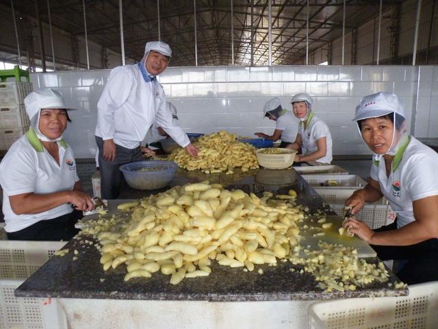 郑和最远到达哪里，郑和下西洋最远到达了哪里（郑和七次下西洋到没到过宝岛台湾）