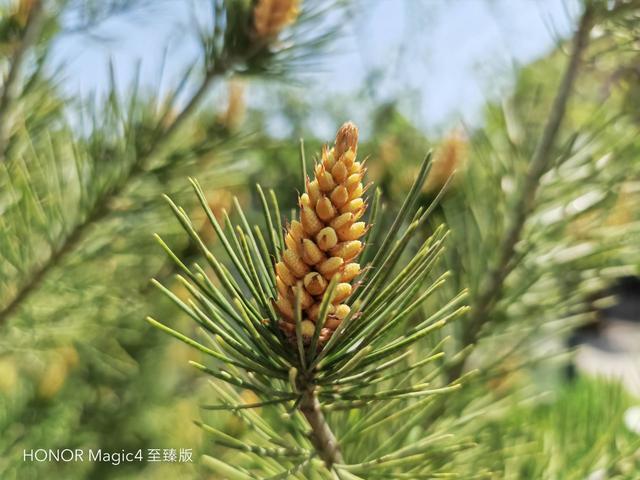 手机设置没有深色模式怎么办，手机设置没有深色模式怎么办oppo（全部拉满的硬核高端旗舰）