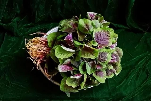 二十四节气 秋天，秋分