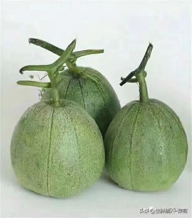 绿色的哈密瓜叫什么，绿色的哈密瓜叫什么名字（哈密瓜、蜜瓜、网纹瓜、香瓜、羊角蜜傻傻分不清）