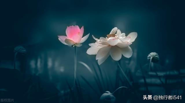 标签如何轻松撕下，标签怎样撕干净（你有没有被一句话伤了很久）