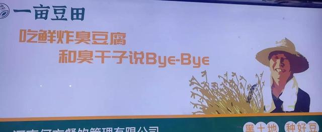 臭豆腐加盟品牌有哪些，加盟臭豆腐哪个牌子好（两家红火臭豆腐谁更胜一筹）