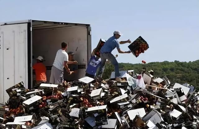 carrots是什么意思，carrots是什么意思英语（一年丢掉40%的食物）