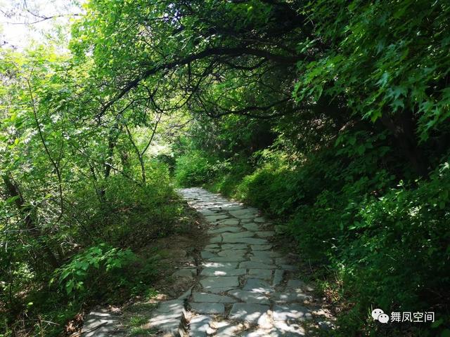 北京西山森林公园，北京西山森林公园登山路线推荐（西山国家森林公园）