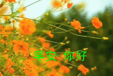 友谊长存祝福语，友谊长存祝福语句（朋友圈每日早安祝福图片）