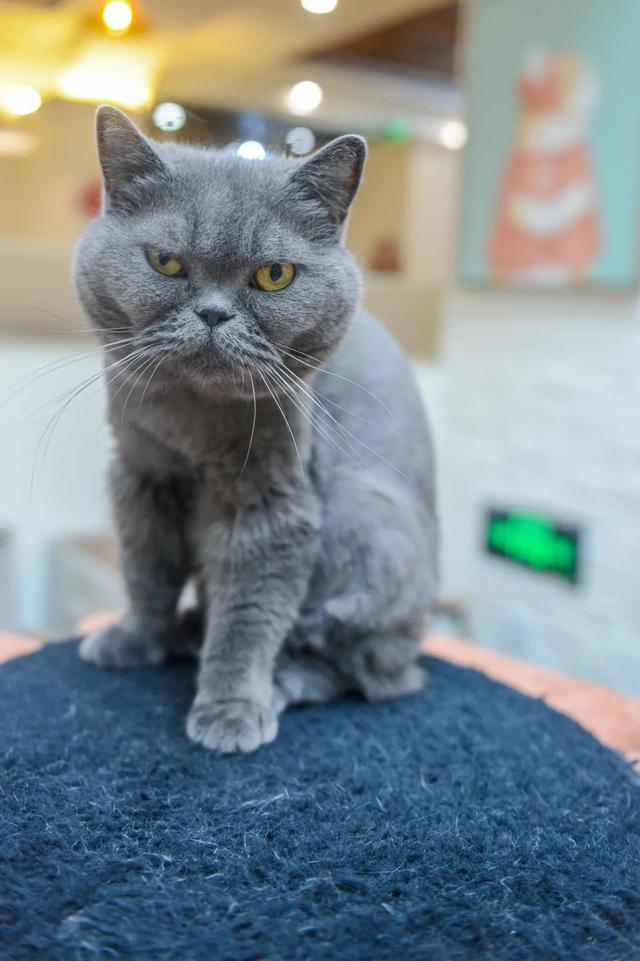 厦门宽厚里步行街的著名小吃，种草好久的厦门宽厚里美食店