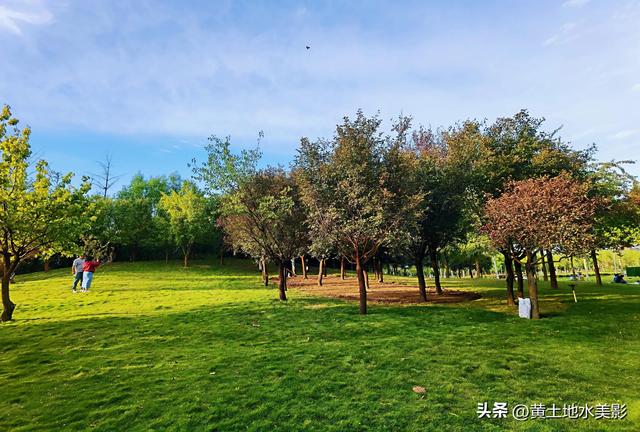 郑州龙湖湿地公园现状分析，河南郑州龙湖湿地公园秋色初露