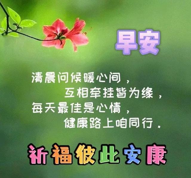 致自己早出晚归的句子，致自己早出晚归的句子退休了还上班怎么行容（正能量拼搏语录句子图片）