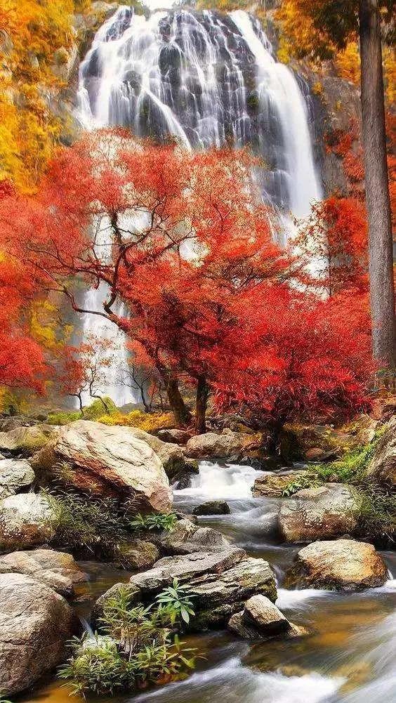 人间美景，人间美景胜天堂（70幅大自然美景图片）