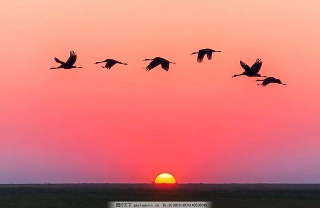 读书的好处优美句子，关于读书的优美句子（读书学习使人充实、自信、坚强）