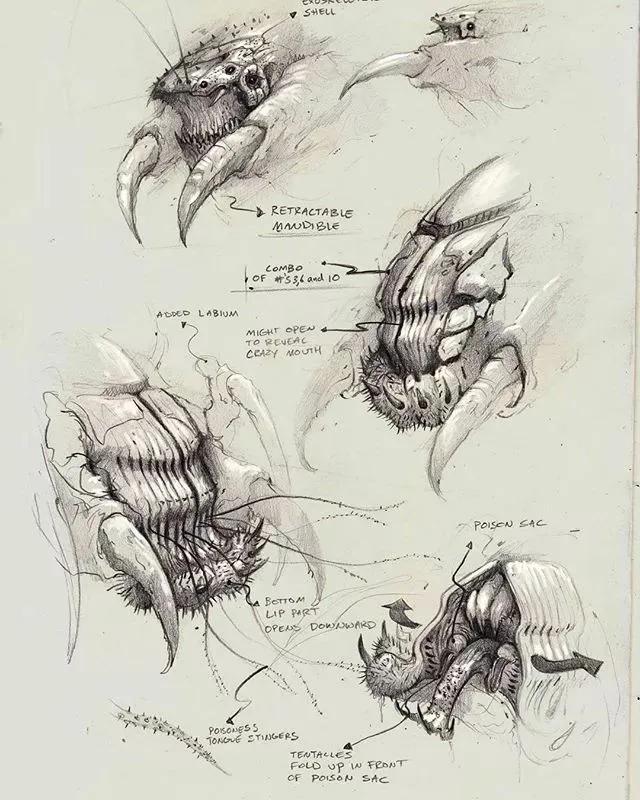 牛怎么画简单又漂亮，正方形简笔画之如何画牛（用作简单的绘画工具）