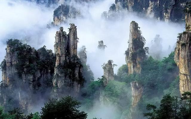 张家界国家森林公园，关于张家界国家森林公园（魅力湘西——张家界）