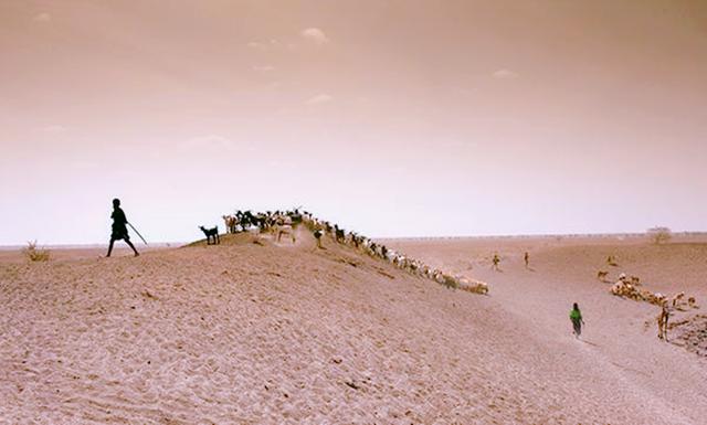 非洲的气温大多在多少度，非洲的平均气温在多少度以上（却仍有一群人在此生存）