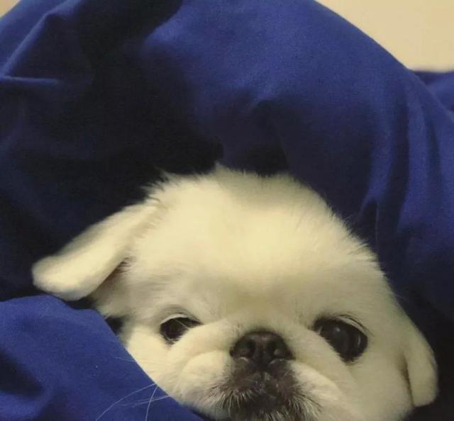 2022好听又内涵的繁体字个性签名 失去总比拥有来得快，2022好听又内涵的繁体字个性签名（2022朋友圈一句话经典文案）