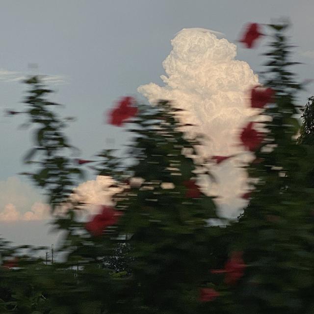 水星记歌词，水星记歌词想表达什么（有哪些让你瞬间破防的歌词）