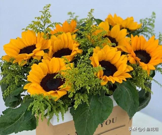 母亲节送什么花，母亲节送什么花最适合（能送给母亲的花不只是康乃馨）