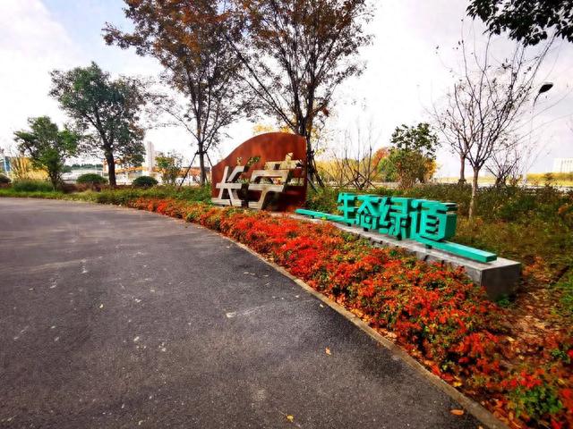 骑行、溜娃、赏秋景…长宁这处“郊野公园”一路好风景
