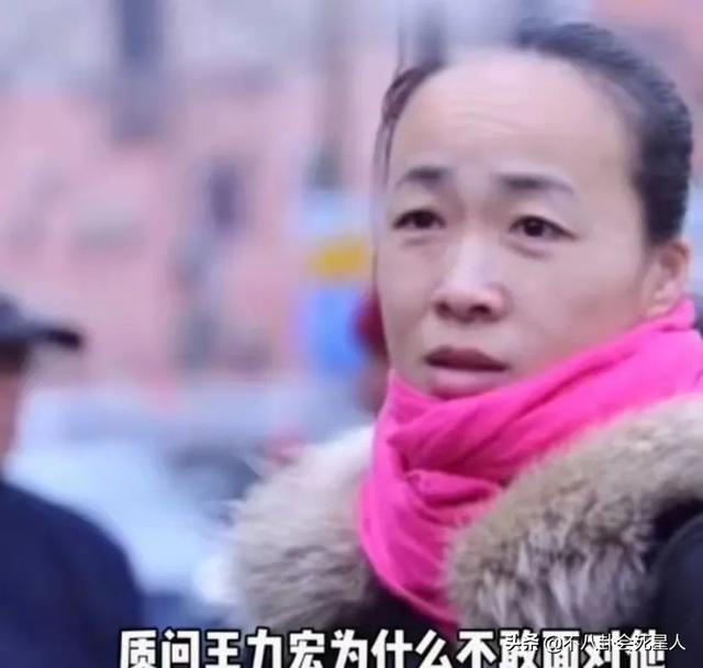 王力宏刘亦菲电影，王力宏与刘亦菲电影（王力宏5大恶臭黑历史）