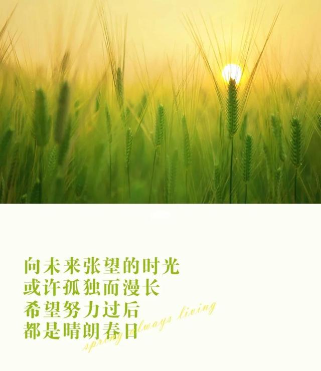 表达美好祝愿的句子，水调歌头表达美好祝愿的句子（四月美好祝福唯美句子）