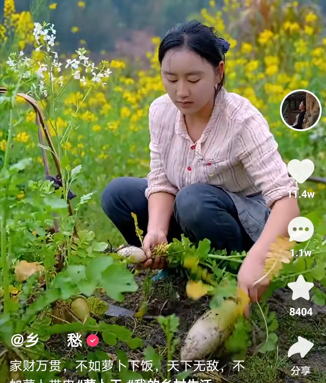 快手10万粉丝月收入(快手10万粉丝能挣钱吗)