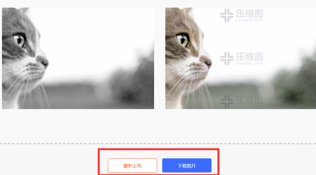 黑白照片如何变彩色，如何用手机把我们的黑白照片变成彩色照片（黑白照如何恢复彩照）