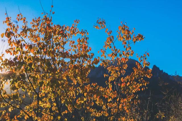 举起手来拍摄地，举起手来拍摄地郭亮村介绍（悬崖上有隐秘古村）