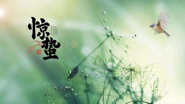 怎么正确的按摩养生，怎么正确的按摩养生视频（教您5招中医养生保健的推拿按摩方法）