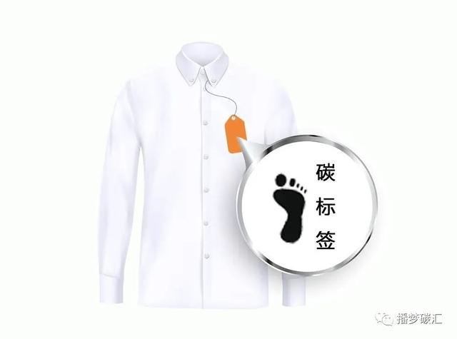 服饰类目包括什么，服饰类包括哪些（低碳行业丨服装类）