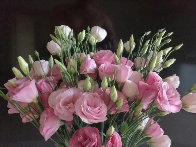 看望病人买什么鲜花，适合送病人的鲜花有哪几种（哪些花代表健康、平安、幸福）