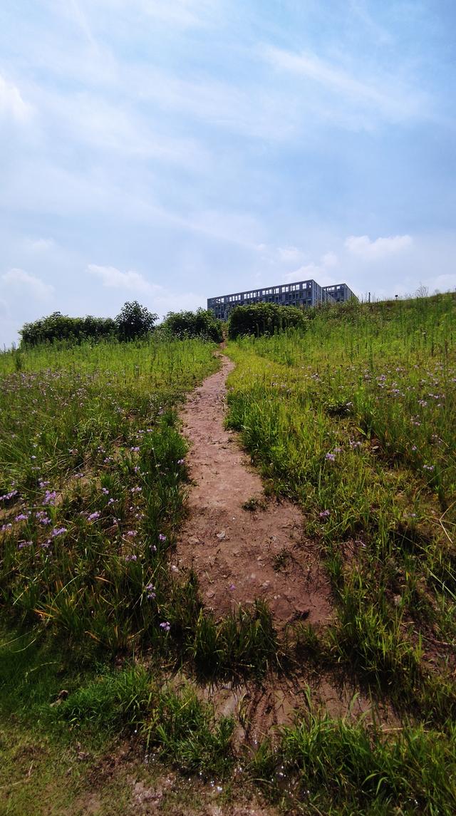 茶园属于重庆哪个区，重庆茶园属于哪个区（南岸区茶园还有这么仙的地方）