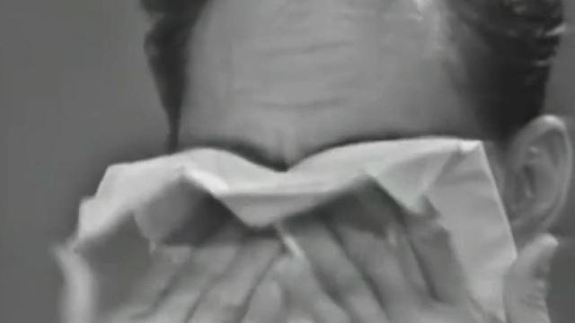 新加坡华人占多少，新加坡有多少是华人（新加坡华人占70%）