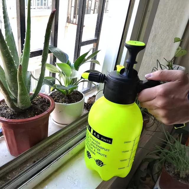 浇花用什么水好，用什么水浇花比较好（用“3种水”来浇花）