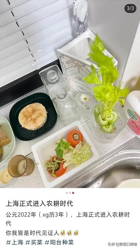 浣碧是谁扮演的，演浣碧的女演员（上海名媛蓝盈莹买菜被认出）