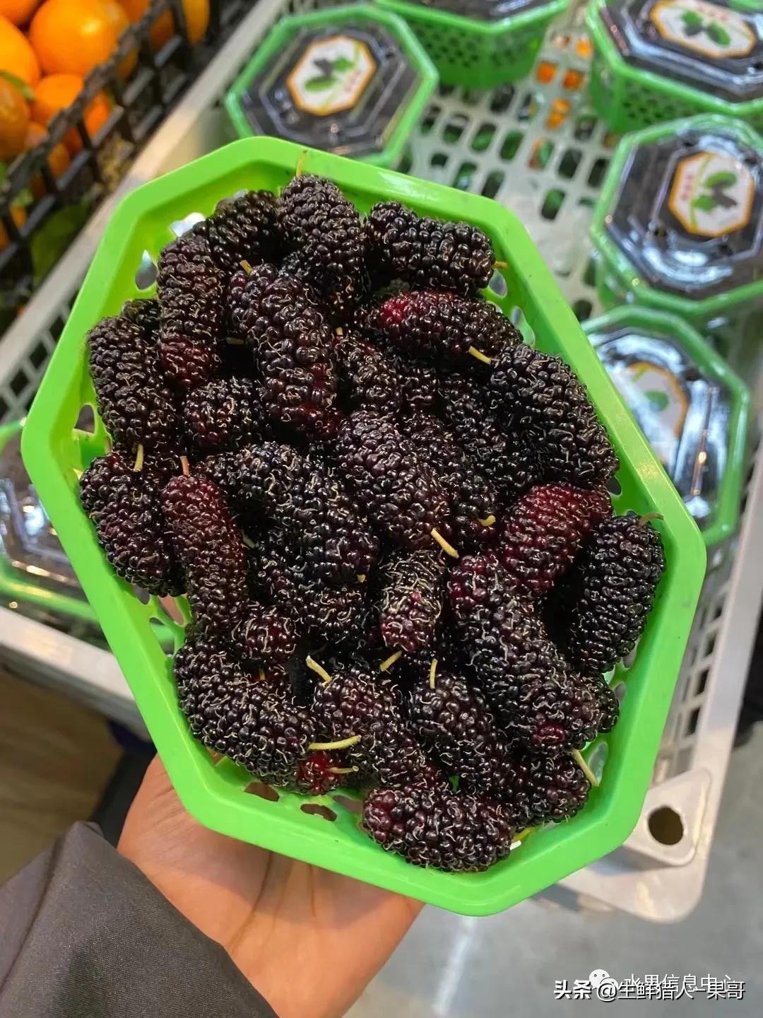 浆果是什么，浆果是什么软件（不同水果的不同包装<浆果篇>）