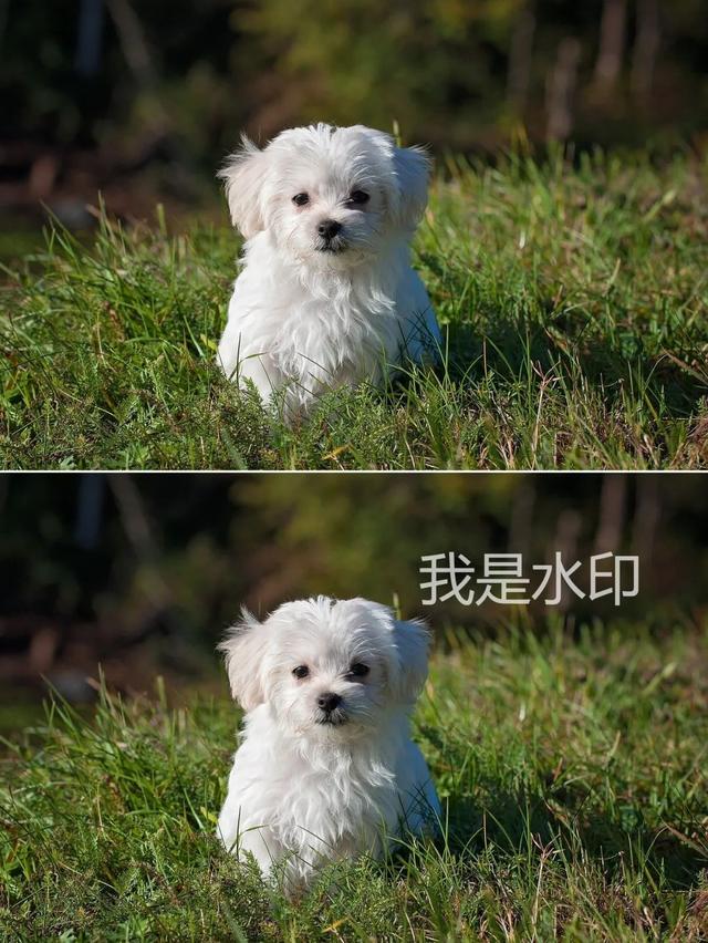 ai如何去掉图片自带的白背景，如何把白色背景色的图片背景变为透明色（水印去除得干干净净）